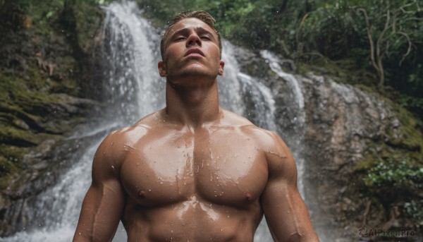 solo,short hair,brown hair,black hair,1boy,closed mouth,nipples,closed eyes,upper body,male focus,nude,outdoors,dark skin,water,tree,wet,muscular,facial hair,scar,abs,dark-skinned male,thick eyebrows,pectorals,muscular male,nature,bara,forest,large pectorals,topless male,mature male,realistic,wet hair,chest hair,waterfall,photo background,looking at viewer,day,beard