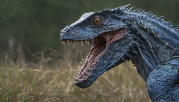 solo,open mouth,yellow eyes,outdoors,teeth,tongue,blurry,from side,orange eyes,no humans,blurry background,fangs,sharp teeth,nature,claws,monster,realistic,scales,dinosaur,slit pupils