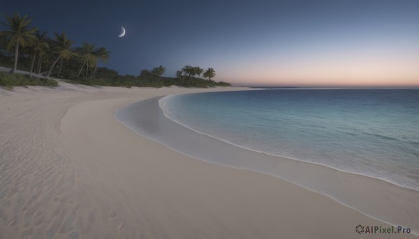 outdoors,sky,water,tree,no humans,night,ocean,beach,moon,star (sky),night sky,scenery,sand,palm tree,horizon,crescent moon,shore,cloud,signature,blue sky,plant,nature,sunset,sun,waves