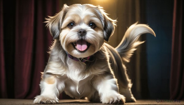 A dog captured in a enchanting dynamic scene
