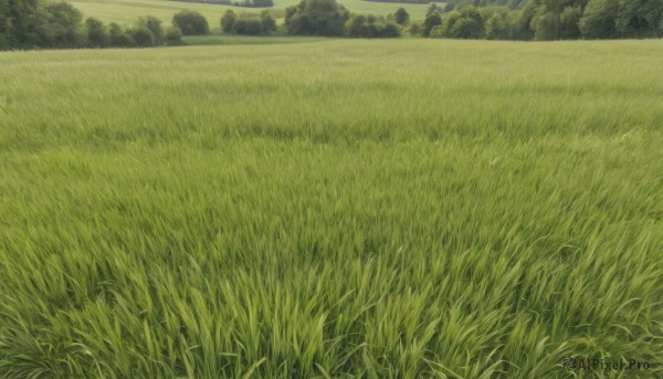 A refreshing image of a landscape in day