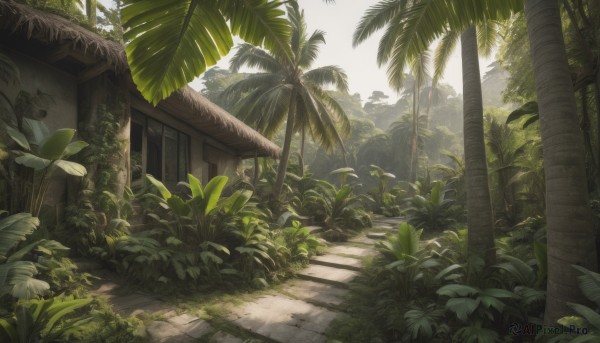 The allure of a unique subject in a inviting day