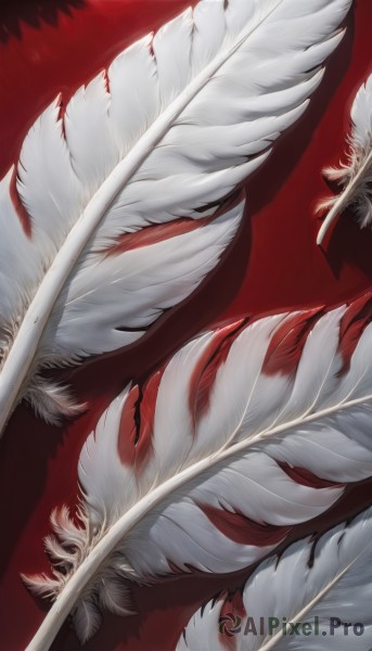 solo,1boy,weapon,wings,no humans,from above,feathers,feathered wings,red background,white wings,red theme,white feathers,shadow