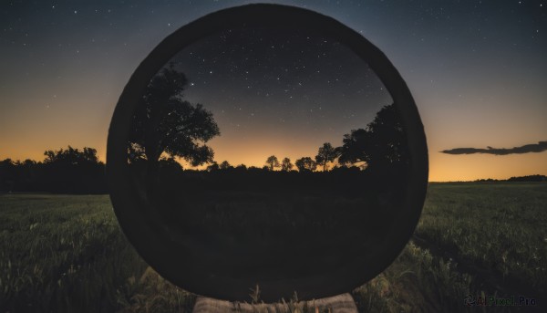 outdoors,sky,cloud,tree,no humans,night,grass,star (sky),nature,night sky,scenery,forest,starry sky,reflection,sunset,twilight,star (symbol),dark,evening,gradient sky