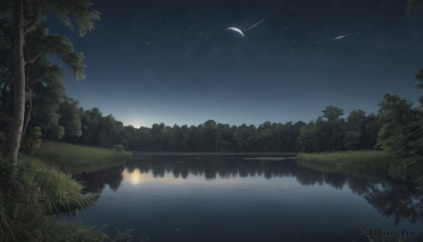 outdoors,sky,cloud,water,tree,no humans,night,moon,grass,star (sky),nature,night sky,scenery,forest,starry sky,reflection,crescent moon,river,lake,shooting star,reflective water,landscape