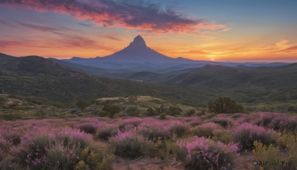 flower,outdoors,sky,cloud,tree,no humans,cloudy sky,grass,nature,scenery,sunset,mountain,sun,horizon,road,field,twilight,evening,landscape,mountainous horizon,gradient sky,orange sky,path,hill,plant,red sky