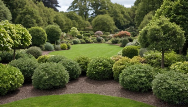 The elegance of a landscape in a tranquil day