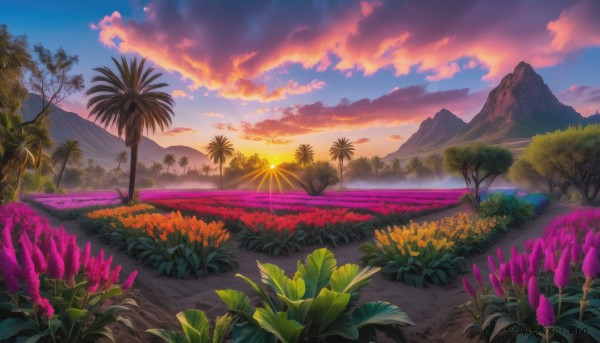 An iconic landscape framed by a inviting sunset outdoors