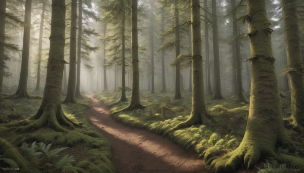 A inspiring view of a landscape in day