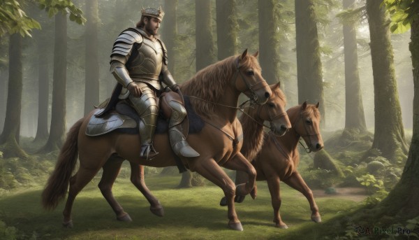 solo,short hair,brown hair,black hair,1boy,male focus,boots,outdoors,day,cape,armor,tree,facial hair,animal,sunlight,helmet,grass,shoulder armor,gauntlets,nature,beard,forest,pauldrons,breastplate,armored boots,riding,greaves,horse,knight,horseback riding,plate armor,reins,saddle,1girl,sitting,scenery,fantasy,full armor