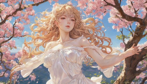 1girl,solo,long hair,breasts,looking at viewer,bangs,blue eyes,blonde hair,dress,bare shoulders,medium breasts,collarbone,upper body,flower,outdoors,parted lips,sky,day,off shoulder,white dress,tree,blue sky,lips,see-through,petals,floating hair,wavy hair,outstretched arms,cherry blossoms,wind,strap slip,pink flower,mountain,branch,hair flower,realistic,spring (season)