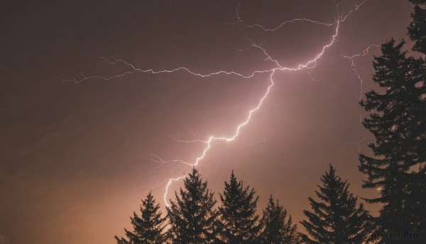 A delightful capture of a lightning within outdoors