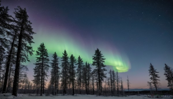 outdoors,sky,cloud,tree,no humans,night,star (sky),nature,night sky,scenery,snow,forest,starry sky,mountain,winter,bare tree,landscape,gradient sky,pine tree,aurora