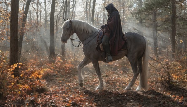 1girl,solo,black hair,gloves,1boy,hat,sitting,male focus,boots,outdoors,day,pants,cape,tree,animal,leaf,sunlight,nature,scenery,1other,forest,riding,autumn leaves,horse,autumn,horseback riding,saddle,shirt,long sleeves,holding,weapon,hood,holding weapon,from side,brown footwear,black pants,cloak,hood up,red cape,hooded cloak,ambiguous gender,hooded cape,red cloak,red hood,reins