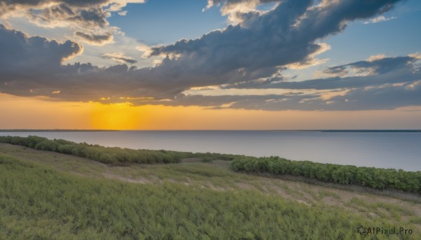 outdoors,sky,day,cloud,water,tree,blue sky,no humans,ocean,sunlight,cloudy sky,grass,nature,scenery,sunset,sun,horizon,field,evening,landscape,gradient sky,orange sky,hill,beach