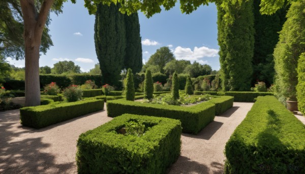 A unique view of a landscape in day
