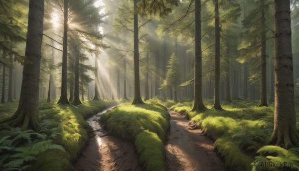 A landscape surrounded by a serene day