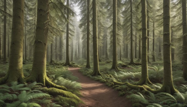 A enchanting day highlighting a landscape