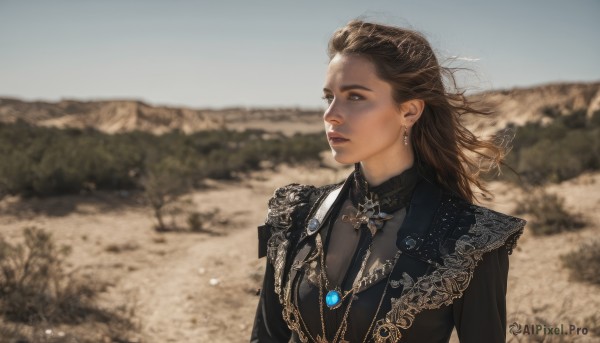 1girl,solo,long hair,brown hair,brown eyes,jewelry,jacket,upper body,earrings,outdoors,parted lips,necktie,sky,day,necklace,blurry,lips,looking to the side,depth of field,blurry background,looking away,formal,brooch,wind,gem,mountain,realistic,looking afar,tree,scenery,pendant