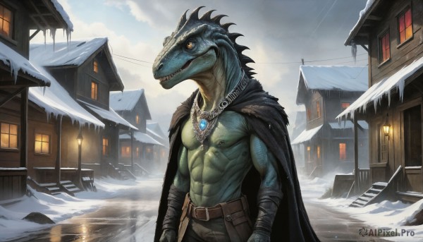 A male in a picturesque snowy day