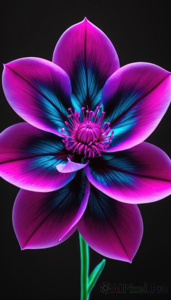 A delightful capture of a abstract within background
