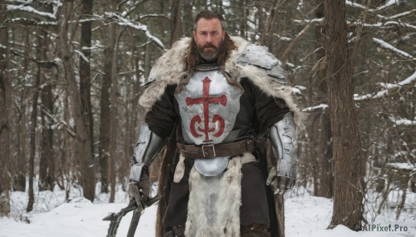 solo,looking at viewer,brown hair,black hair,1boy,holding,closed mouth,standing,weapon,male focus,outdoors,belt,sword,cape,holding weapon,armor,tree,fur trim,facial hair,scar,holding sword,shoulder armor,gauntlets,nature,beard,scar on face,snow,forest,pauldrons,breastplate,snowing,mustache,scar across eye,hair slicked back,bare tree,chainmail,short hair,cross,sheath,realistic,manly,winter