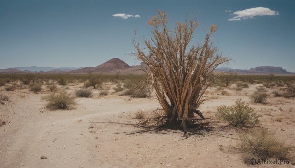 The timeless beauty of a landscape in a picturesque day