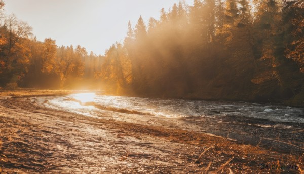 outdoors,sky,day,water,tree,no humans,sunlight,grass,nature,scenery,forest,sunset,light rays,sun,river,autumn,landscape,orange theme,signature,lens flare,sunbeam