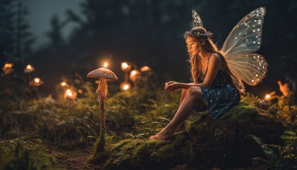 1girl,solo,long hair,breasts,blonde hair,brown hair,dress,cleavage,bare shoulders,jewelry,sitting,closed eyes,flower,outdoors,wings,barefoot,sleeveless,pointy ears,necklace,nail polish,blurry,black dress,from side,tree,bare arms,night,sleeveless dress,depth of field,blurry background,blue dress,grass,bug,plant,butterfly,nature,forest,toenails,minigirl,fantasy,fairy wings,fairy,head wreath,mushroom,on ground,butterfly wings,black hair,tiara,realistic