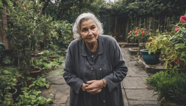 solo,looking at viewer,smile,long sleeves,1boy,jewelry,closed mouth,standing,flower,white hair,grey hair,male focus,outdoors,day,black eyes,bracelet,coat,buttons,facial hair,own hands together,plant,realistic,potted plant,earmuffs,old,old man,photo background,old woman,garden,wrinkled skin,1girl,short hair,ring,watch,wristwatch