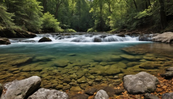 outdoors,day,water,tree,no humans,nature,scenery,forest,reflection,rock,river,waterfall,stream,sunlight,landscape