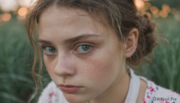 1girl,solo,looking at viewer,short hair,brown hair,brown eyes,closed mouth,green eyes,teeth,hair bun,blurry,lips,depth of field,blurry background,portrait,close-up,forehead,freckles,realistic,nose,bokeh,outdoors,choker,eyelashes,grass