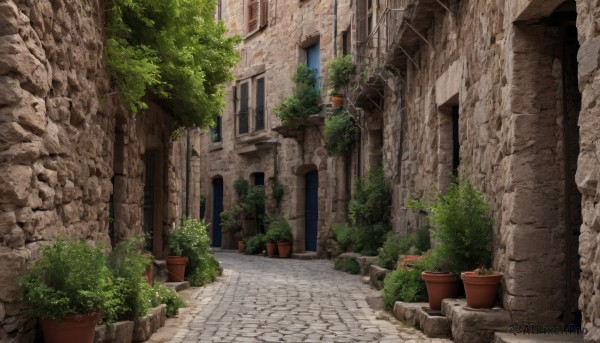 flower,outdoors,day,tree,no humans,window,sunlight,plant,building,scenery,stairs,door,potted plant,road,bush,wall,ruins,flower pot,stone floor,house,street,path