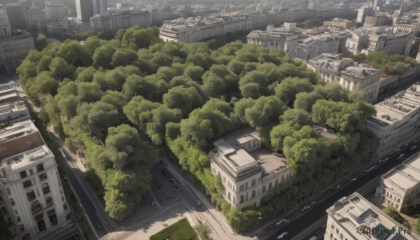 outdoors,day,tree,no humans,window,from above,sunlight,building,nature,scenery,forest,city,road,cityscape,ruins,bridge,skyscraper,overgrown