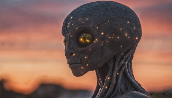 A unique view of a alien in sunset outdoors