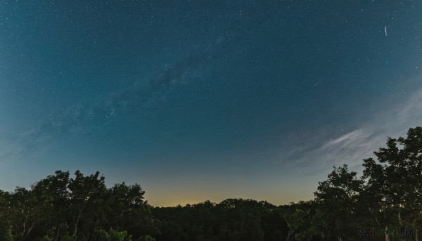 outdoors,sky,cloud,tree,no humans,night,star (sky),nature,night sky,scenery,forest,starry sky,sunset,gradient sky,blue sky,twilight,evening,shooting star