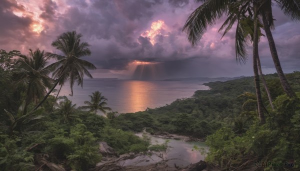 outdoors,sky,day,cloud,water,tree,no humans,ocean,beach,sunlight,cloudy sky,grass,plant,nature,scenery,forest,sunset,light rays,palm tree,horizon,landscape,signature,sand,sun,shore,island