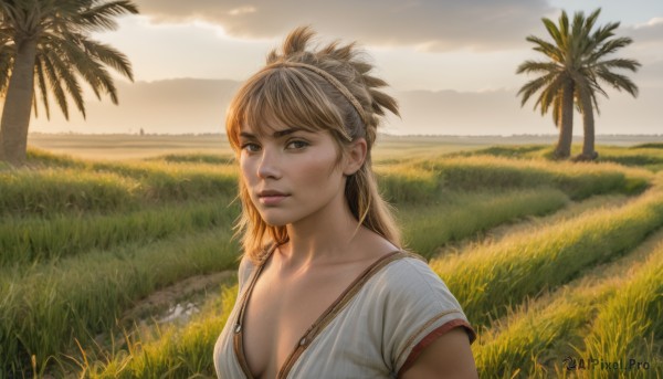 1girl,solo,long hair,breasts,looking at viewer,bangs,blonde hair,shirt,cleavage,brown eyes,medium breasts,collarbone,white shirt,upper body,short sleeves,small breasts,outdoors,parted lips,sky,day,cloud,tree,lips,grass,scenery,realistic,nose,palm tree,river,underwear,hairband,bra,cloudy sky,nature,sunset