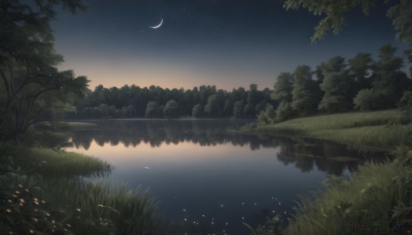 outdoors,sky,cloud,water,tree,no humans,night,moon,grass,plant,star (sky),nature,night sky,scenery,forest,starry sky,reflection,crescent moon,river,lake,reflective water,signature