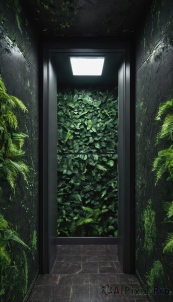 A indoors showcased in a bold day