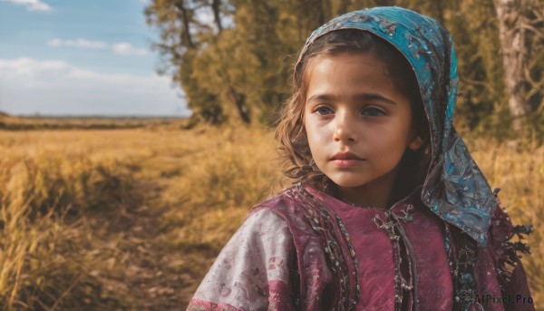 1girl,solo,brown hair,brown eyes,closed mouth,upper body,outdoors,sky,day,cloud,blurry,black eyes,tree,blue sky,lips,looking to the side,depth of field,blurry background,looking away,child,nature,realistic,female child,black hair,sunlight,portrait,veil,field,head scarf