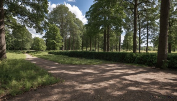 outdoors,sky,day,cloud,tree,blue sky,no humans,shadow,sunlight,cloudy sky,grass,nature,scenery,forest,road,bush,shade,path,plant