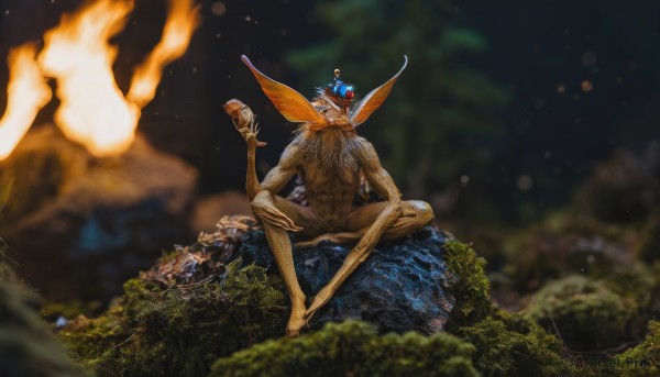 solo,1boy,holding,sitting,full body,male focus,nude,outdoors,wings,barefoot,blurry,tree,cup,no humans,night,depth of field,blurry background,glowing,bug,fire,nature,holding cup,glowing eyes,rock,antennae,campfire,facial hair,scenery,forest,monster,realistic,fairy