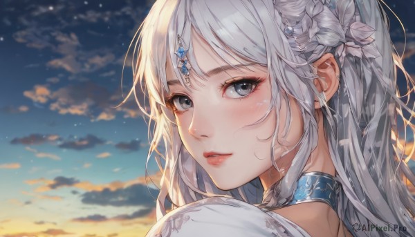 1girl,solo,long hair,looking at viewer,blush,bangs,hair ornament,jewelry,closed mouth,braid,flower,white hair,grey hair,outdoors,parted lips,sky,choker,looking back,cloud,hair flower,blurry,collar,lips,looking to the side,grey eyes,eyelashes,makeup,blurry background,cloudy sky,gem,portrait,star (sky),close-up,sunset,circlet,red lips,head chain