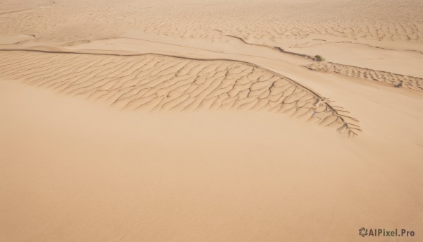 1girl,multiple girls,comic,outdoors,water,tree,no humans,beach,scenery,sand,desert,footprints,plant,road