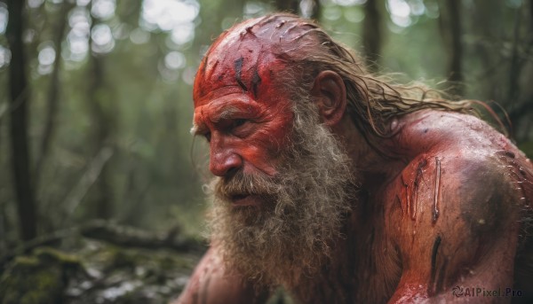 solo,long hair,1boy,closed eyes,upper body,male focus,outdoors,day,signature,blurry,from side,blood,profile,depth of field,blurry background,facial hair,scar,nature,beard,forest,injury,realistic,mustache,bald,manly,old,old man,closed mouth