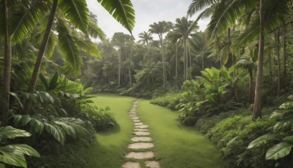 outdoors,sky,day,cloud,tree,no humans,leaf,sunlight,grass,plant,nature,scenery,forest,palm tree,bush,green theme,cloudy sky,road,path