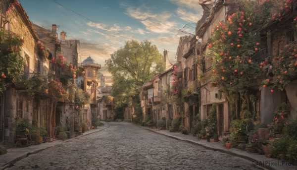 flower, outdoors, sky, day, cloud, tree, blue sky, dutch angle, no humans, window, cloudy sky, plant, red flower, building, scenery, city, potted plant, road, house, street, pavement, vanishing point