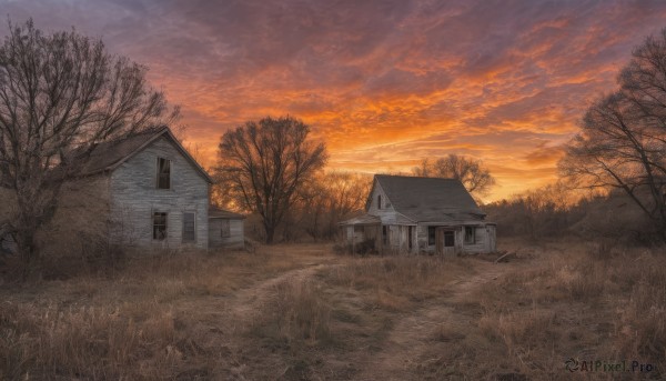 outdoors,sky,cloud,tree,no humans,window,cloudy sky,grass,building,nature,scenery,forest,sunset,door,house,bare tree,evening,orange sky,field,path,chimney