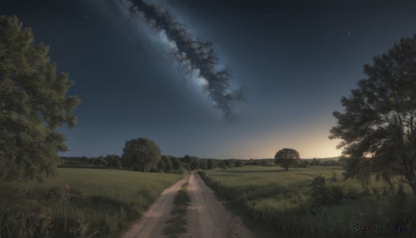 flower,outdoors,sky,cloud,tree,no humans,night,grass,ground vehicle,star (sky),nature,night sky,scenery,motor vehicle,forest,smoke,starry sky,mountain,road,landscape,plant,path